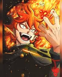 Mereoleona Vermillion